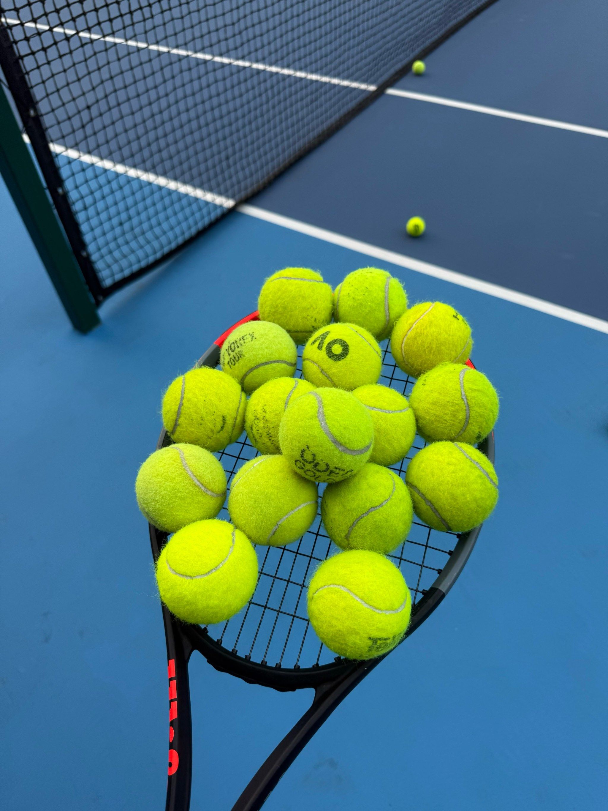 成功的结果 成功的结果